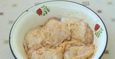 오븐에 감자를 넣은 닭고기 - 최고의 요리법